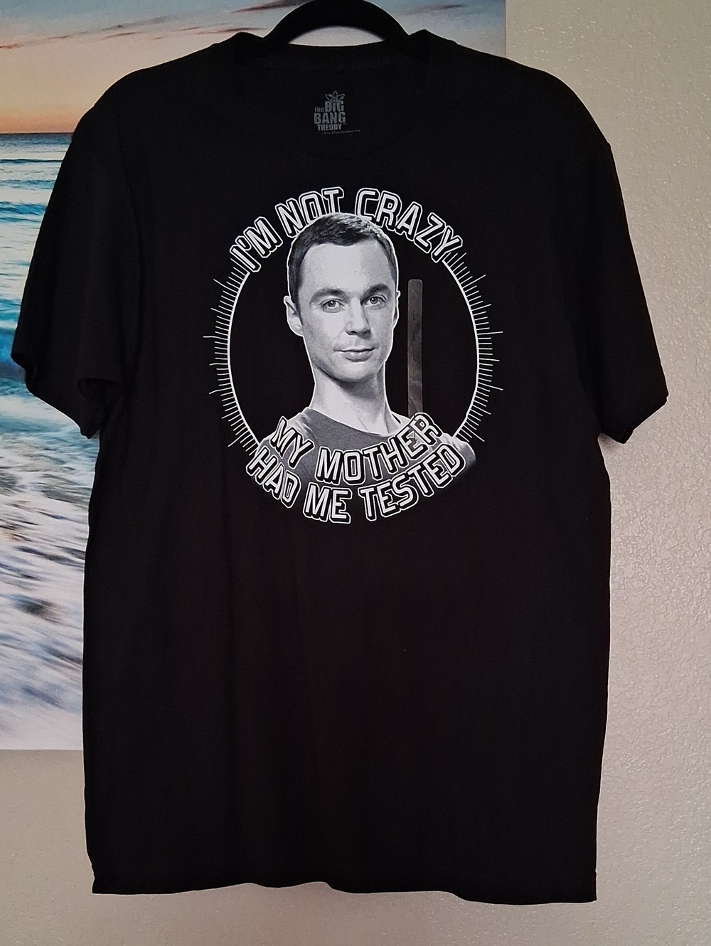 The Big Bang Theory Sheldon Graphic T-Shirt, NEW